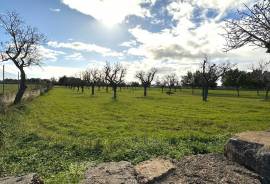 Finca building plot on the outskirts of the village