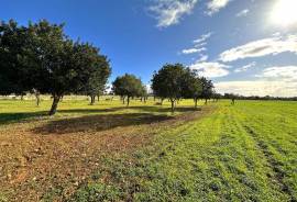 Finca edificable en las afueras de Llucmajor