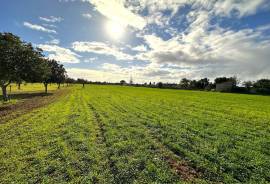 Finca building plot on the outskirts of the village