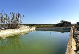 Finca rústica histórica con gran terreno y muchas posibilidades