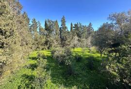 Finca rústica in Sencelles – Mediterranes Refugium mit Charakter