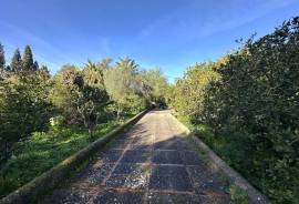 Finca rústica in Sencelles – Mediterranes Refugium mit Charakter