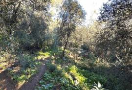 Acogedora casa de campo en zona tranquila