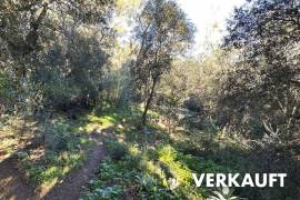 Gemütliche Finca in ruhiger Lage