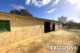 Quiet located finca with potential