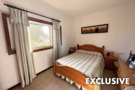 Quiet located finca with potential