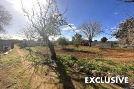 Quiet located finca with potential
