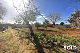 Quiet located finca with potential