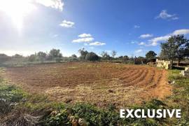 Quiet located finca with potential