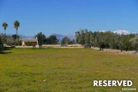 Rural development plot with two existing buildings