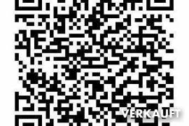 Kernsanierte Villa mit Pool im Ibizenko Stil