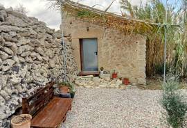 Ländliches Grundstück mit Bestandsgebäude bei Montuïri – Kleines Projekt mit Potenzial