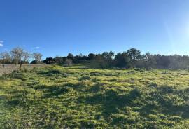 Ländliches Grundstück mit Bestandsgebäude bei Montuïri – Kleines Projekt mit Potenzial