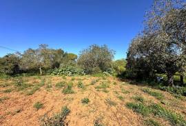 Finca rústica bei Llucmajor – Idyllisches Refugium mit viel Potenzial