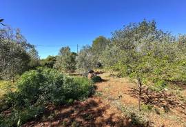 Finca rústica bei Llucmajor – Idyllisches Refugium mit viel Potenzial