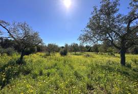 Finca rústica bei Llucmajor – Idyllisches Refugium mit viel Potenzial