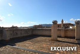 Renovation property with 380 m² private roof terrace