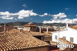 Luxury studio penthouse renovated and with spectacular terrace in the heart of the old town