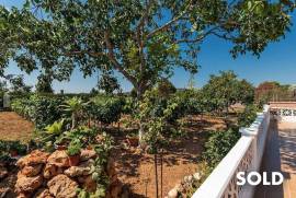 Quietly situated finca with vineyards, olive trees and beautiful fruit garden