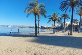 Neu renovierte Wohnung Nahe Sandstrand und Jachthafen von Arenal
