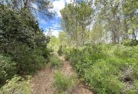 Idyllisches Baugrundstück mit genehmigtem Finca-Projekt in ruhiger Lage