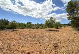 Rural plot with approved finca project in quiet location