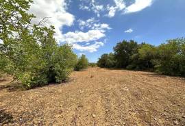 Idyllisches Baugrundstück mit genehmigtem Finca-Projekt in ruhiger Lage