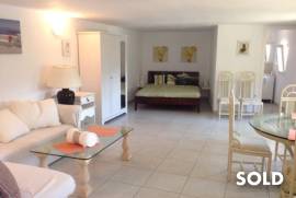 Rustic villa with 2 guest apartments in a quiet mountain area