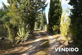 Rústica casa de campo de piedra natural en Algaida