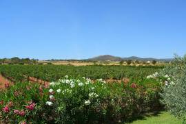 Espectacular casa de campo autosuficiente con viñedo propio