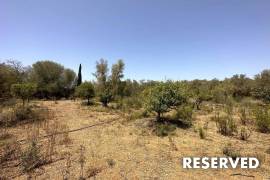 Renovated finca rústica with ETV rental licence
