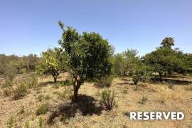 Renovated finca rústica with ETV rental licence