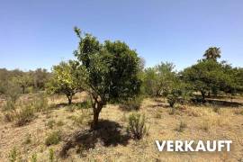 Sanierte Finca rústica mit Ferienvermietungslizenz Sanierte Finca rústica mit Ferienvermietungslizenz