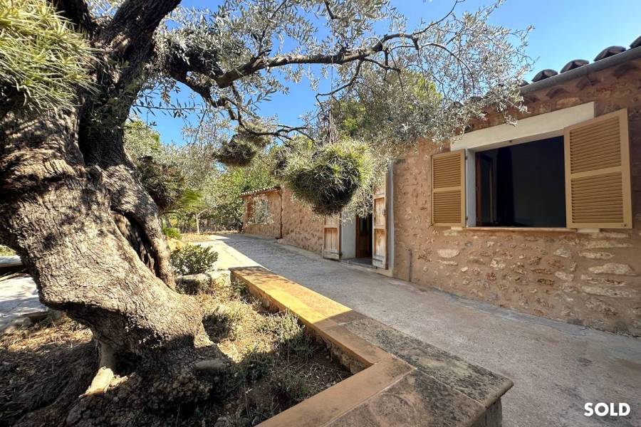Natural stone finca with great trees and quiet location in the mountains of Sóller