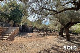 Natural stone finca with great trees and quiet location in the mountains of Sóller
