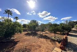 Well-kept and self-sufficient finca with Mediterranean garden near Llucmajor