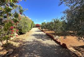 Well-kept and self-sufficient finca with Mediterranean garden near Llucmajor