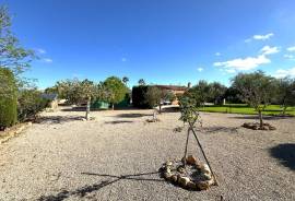 Finca cuidada y autosuficiente con jardín mediterráneo Finca cuidada y autosuficiente con jardín mediterráneo