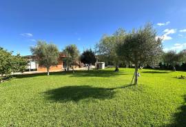 Finca cuidada y autosuficiente con jardín mediterráneo Finca cuidada y autosuficiente con jardín mediterráneo