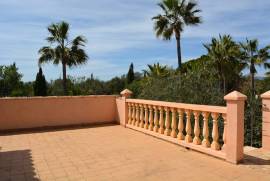 Idyllic finca with pool and guest appartment Idyllic finca with pool and guest appartment