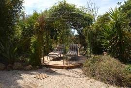 Idyllic finca with pool and guest appartment Idyllic finca with pool and guest appartment