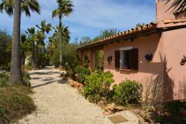 Idyllic finca with pool and guest appartment Idyllic finca with pool and guest appartment