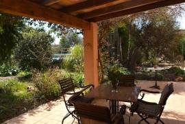 Idyllic finca with pool and guest appartment Idyllic finca with pool and guest appartment