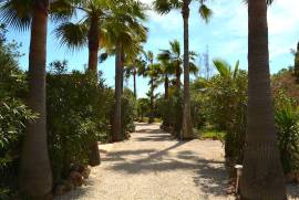 Idyllic finca with pool and guest appartment Idyllic finca with pool and guest appartment