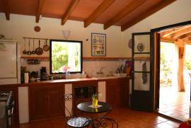 Idyllic finca with pool and guest appartment Idyllic finca with pool and guest appartment