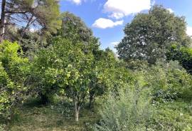 Sanierte Finca mit Blick ins Grüne